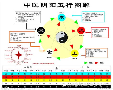 強金 強水|五行相生相剋:五行,四季五行,相生相剋,概念對應,五行數理,五行方。